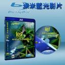 雨林中的昆蟲 Bugs! A Rainforest Adventure (藍光25G)