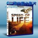  探索頻道:生命的速度 Speed of Life (2010) 25G藍光
