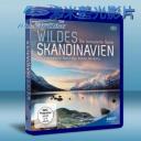   野性斯堪的納維亞 Wildes Skandinavien (雙碟) 藍光25G