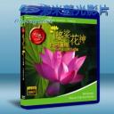   世紀台灣系列:婆娑花神-白河蓮鄉 藍光BD-25G