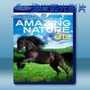   Amzaing Nature 3D 奇妙大自然  藍光25G