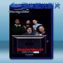   矽谷群瞎傳 Silicon Vally 第2季 (雙碟) 藍光25G