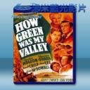   翡翠谷 How Green Was My Valley (1941) 藍光影片25G