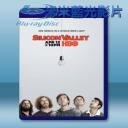   矽谷群瞎傳 Silicon Valley 第2季 (2碟) 藍光25G 