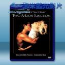 激情交叉點 Two Moon Junction (1989) 藍光25G