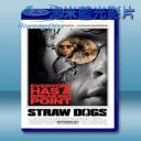   暴力正義 Straw Dogs (2011) 藍光25G