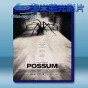   負鼠 Possum 【2018】 藍光25G