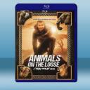 你的荒野求生電影版:出逃的野獸 Animals on the Loose: A You vs. Wild Movie (2021) 藍光25G