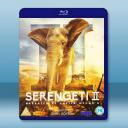 塞倫蓋蒂 第二季 Serengeti Seas...