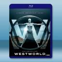  西部世界/西方極樂園 第一季 Westworld S1(2016)藍光25G 3碟