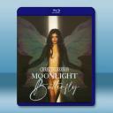 夜蝴蝶 Moonlight Butterfly...