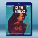 外放特務組/流人 第四季 Slow Horses S4(2024)藍光25G 2碟L		 