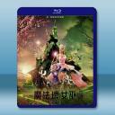 魔法壞女巫 Wicked (2024)藍光25G		 