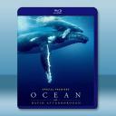 與大衛艾登堡遨遊深海 Ocean with David Attenborough(2025)藍光25G		 