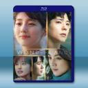 夢境 Wonderland(2024)藍光25...
