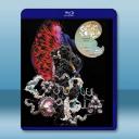 比約克 豐饒之角 Cornucopia(2025)藍光25G		 